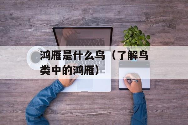 鸿雁是什么鸟（了解鸟类中的鸿雁）-第1张图片-