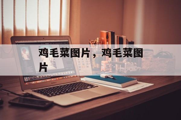鸡毛菜图片，鸡毛菜图片-第1张图片-