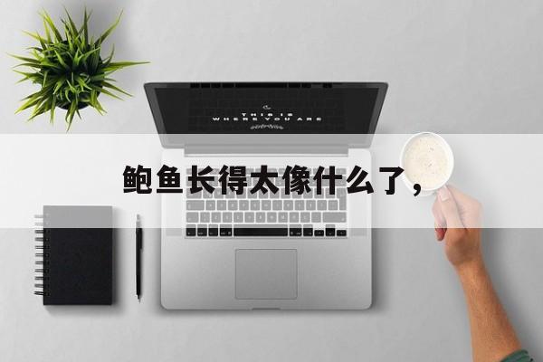 鲍鱼长得太像什么了，-第1张图片-
