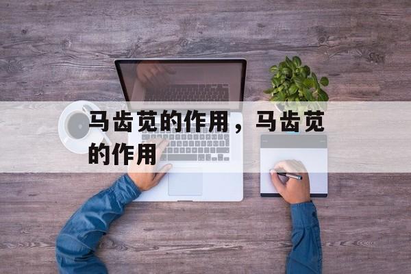 马齿苋的作用，马齿苋的作用-第1张图片-
