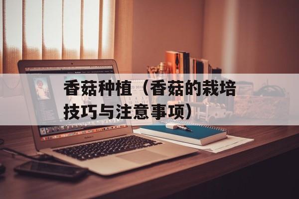 香菇种植（香菇的栽培技巧与注意事项）-第1张图片-