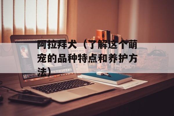 阿拉拜犬（了解这个萌宠的品种特点和养护方法）-第1张图片-