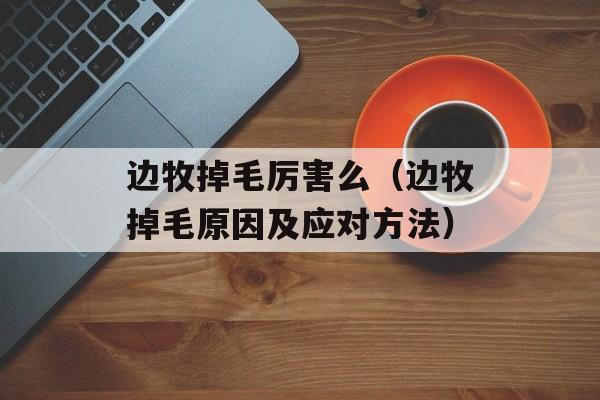 边牧掉毛厉害么（边牧掉毛原因及应对方法）-第1张图片-