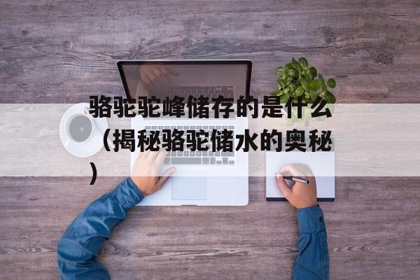 骆驼驼峰储存的是什么（揭秘骆驼储水的奥秘）-第1张图片-