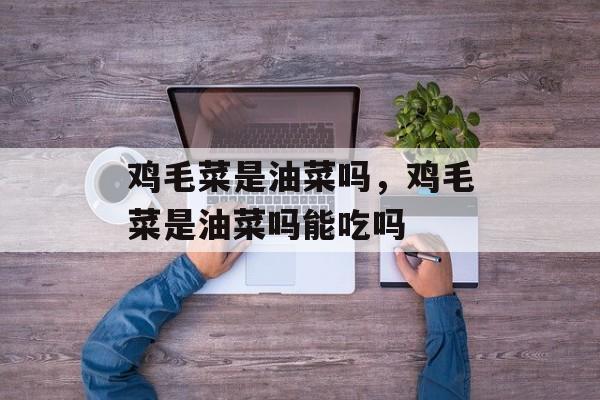 鸡毛菜是油菜吗，鸡毛菜是油菜吗能吃吗-第1张图片-