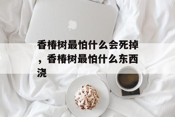 香椿树最怕什么会死掉，香椿树最怕什么东西浇-第1张图片-