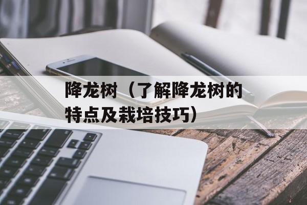 降龙树（了解降龙树的特点及栽培技巧）-第1张图片-