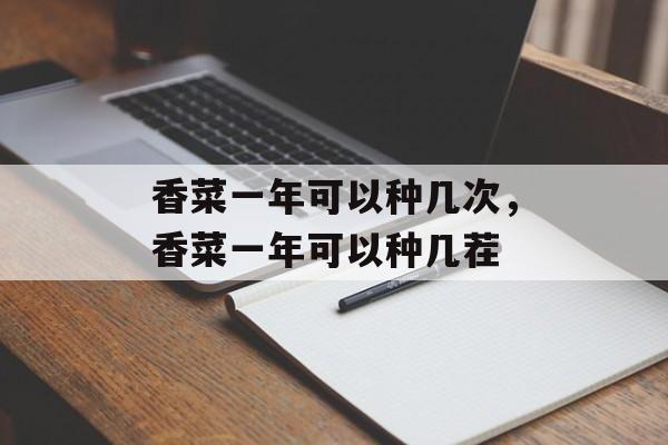 香菜一年可以种几次，香菜一年可以种几茬-第1张图片-