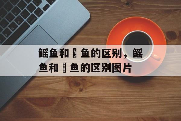鳐鱼和魟鱼的区别，鳐鱼和魟鱼的区别图片-第1张图片-