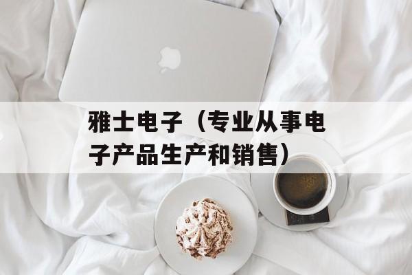 雅士电子（专业从事电子产品生产和销售）-第1张图片-