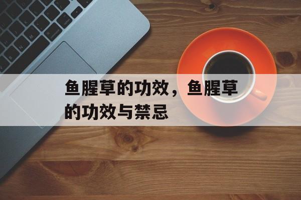 鱼腥草的功效，鱼腥草的功效与禁忌-第1张图片-