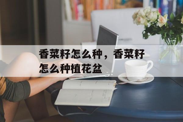 香菜籽怎么种，香菜籽怎么种植花盆-第1张图片-