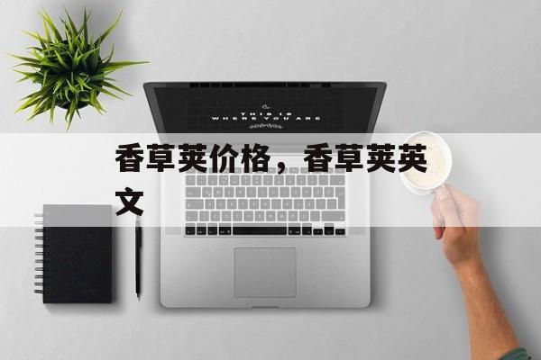 香草荚价格，香草荚英文-第1张图片-