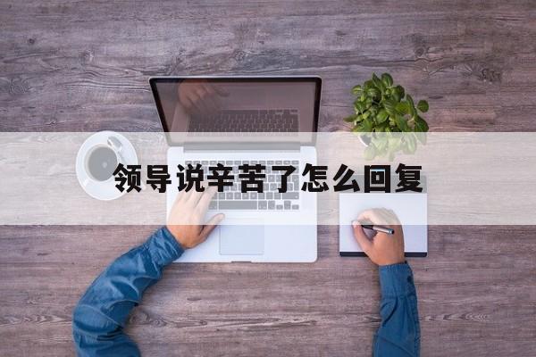 领导说辛苦了怎么回复-第1张图片-