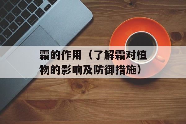 霜的作用（了解霜对植物的影响及防御措施）-第1张图片-