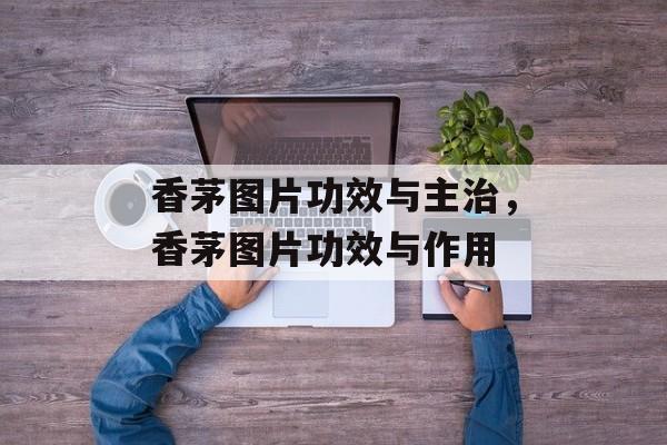 香茅图片功效与主治，香茅图片功效与作用-第1张图片-