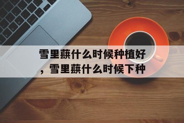 雪里蕻什么时候种植好，雪里蕻什么时候下种-第1张图片-