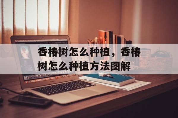 香椿树怎么种植，香椿树怎么种植方法图解-第1张图片-