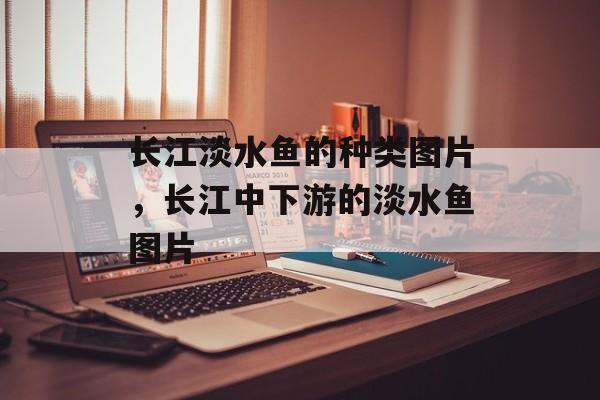 长江淡水鱼的种类图片，长江中下游的淡水鱼图片-第1张图片-
