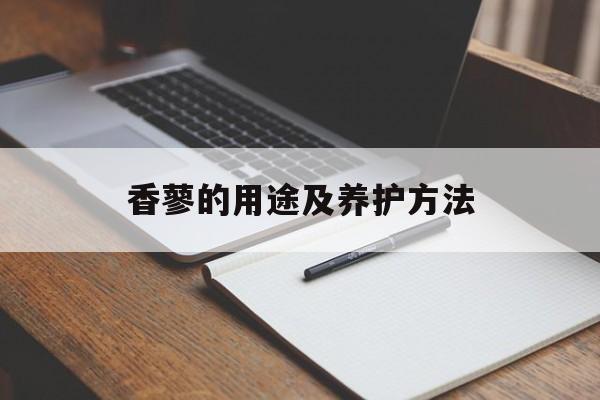 香蓼的用途及养护方法-第1张图片-