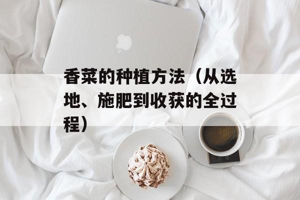 香菜的种植方法（从选地、施肥到收获的全过程）-第1张图片-