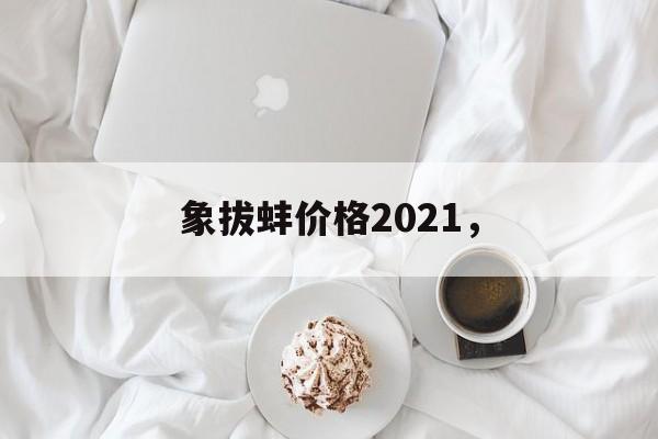象拔蚌价格2021，-第1张图片-
