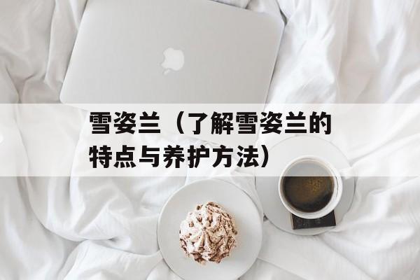 雪姿兰（了解雪姿兰的特点与养护方法）-第1张图片-