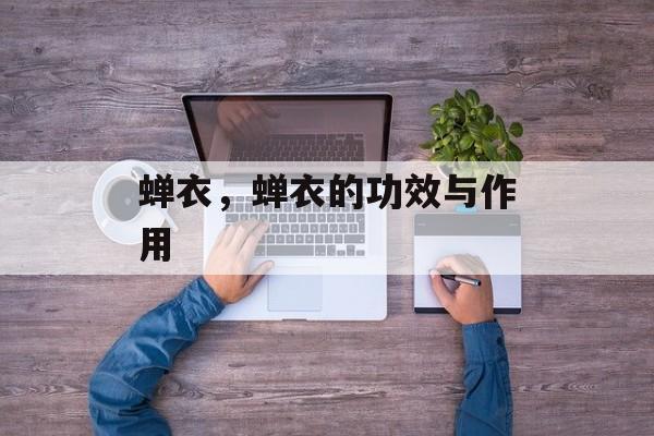 蝉衣，蝉衣的功效与作用-第1张图片-