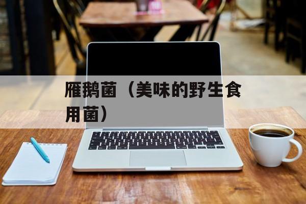 雁鹅菌（美味的野生食用菌）-第1张图片-