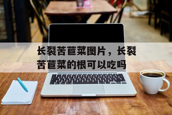 长裂苦苣菜图片，长裂苦苣菜的根可以吃吗-第1张图片-