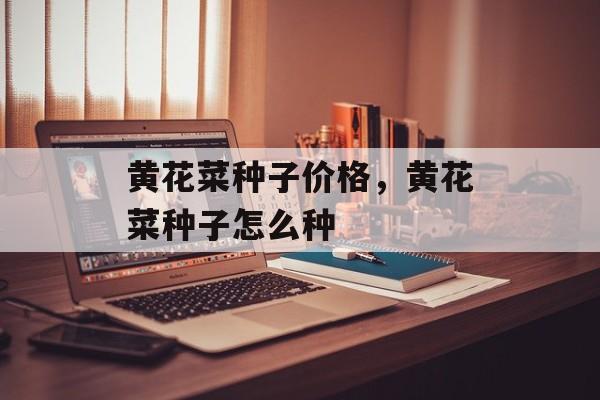 黄花菜种子价格，黄花菜种子怎么种-第1张图片-