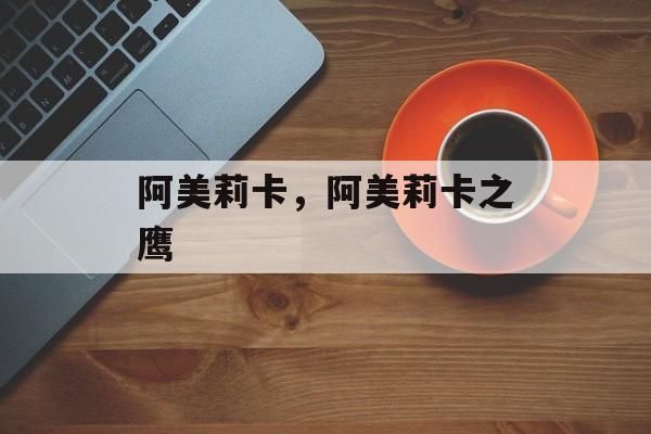 阿美莉卡，阿美莉卡之鹰-第1张图片-