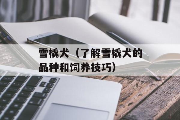雪橇犬（了解雪橇犬的品种和饲养技巧）-第1张图片-