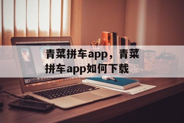 青菜拼车app，青菜拼车app如何下载-第1张图片-