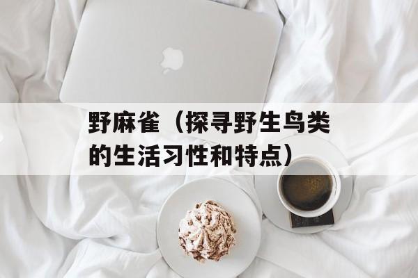 野麻雀（探寻野生鸟类的生活习性和特点）-第1张图片-