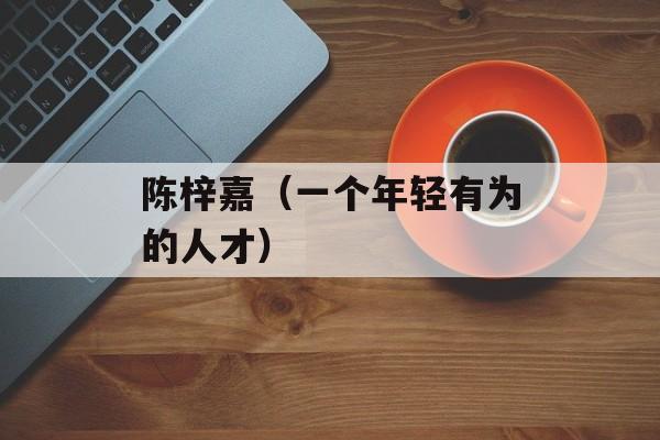 陈梓嘉（一个年轻有为的人才）-第1张图片-