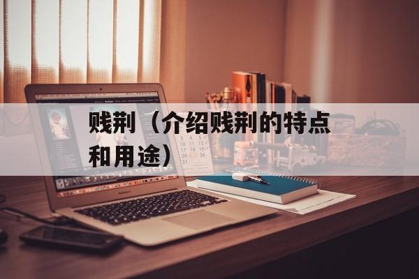 贱荆（介绍贱荆的特点和用途）-第1张图片-