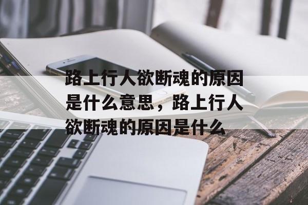 路上行人欲断魂的原因是什么意思，路上行人欲断魂的原因是什么-第1张图片-