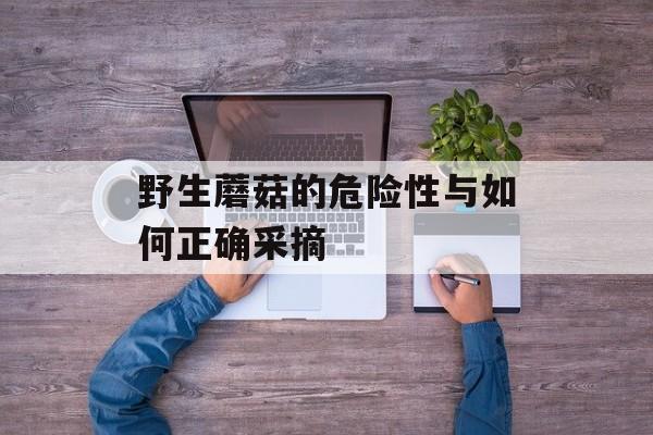 野生蘑菇的危险性与如何正确采摘-第1张图片-
