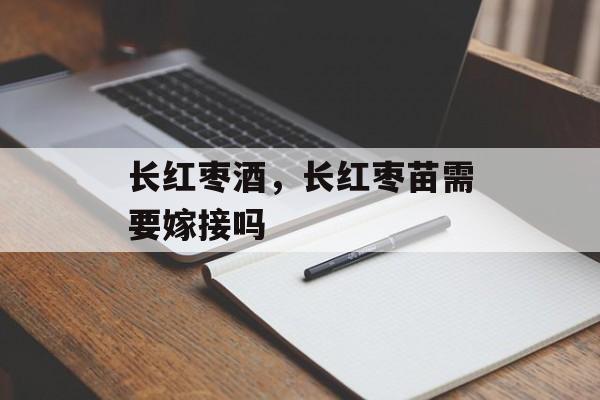 长红枣酒，长红枣苗需要嫁接吗-第1张图片-