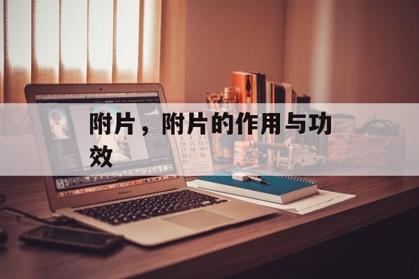 附片，附片的作用与功效-第1张图片-