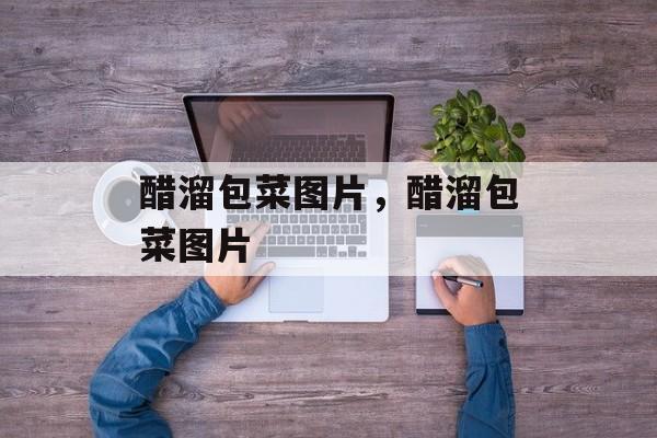 醋溜包菜图片，醋溜包菜图片-第1张图片-