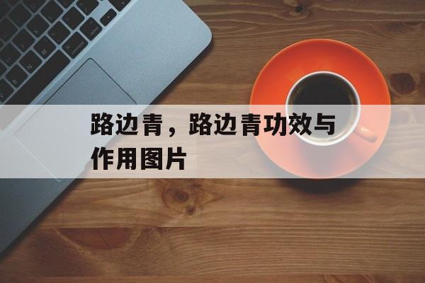 路边青，路边青功效与作用图片-第1张图片-