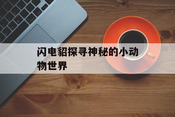 闪电貂探寻神秘的小动物世界-第1张图片-