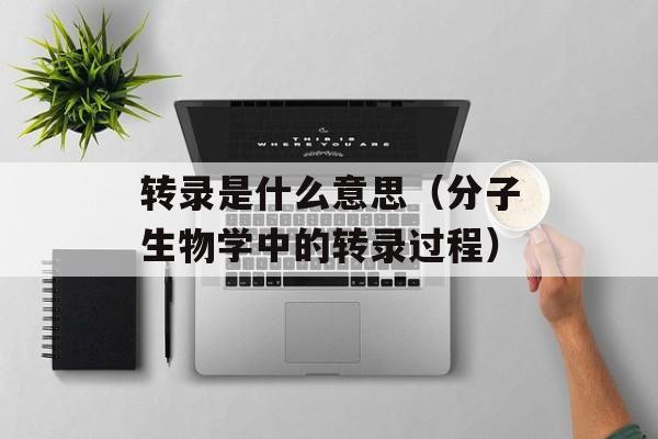 转录是什么意思（分子生物学中的转录过程）-第1张图片-