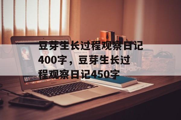 豆芽生长过程观察日记400字，豆芽生长过程观察日记450字-第1张图片-