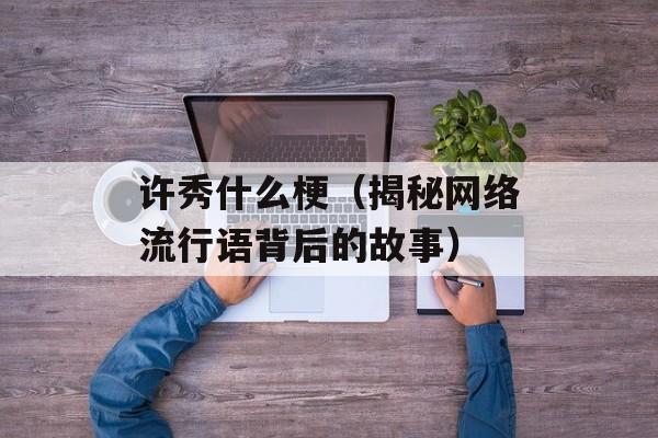 许秀什么梗（揭秘网络流行语背后的故事）-第1张图片-