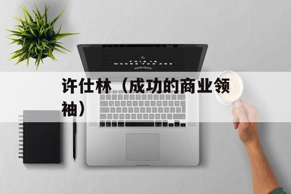 许仕林（成功的商业领袖）-第1张图片-