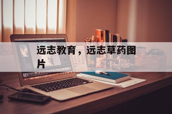远志教育，远志草药图片-第1张图片-
