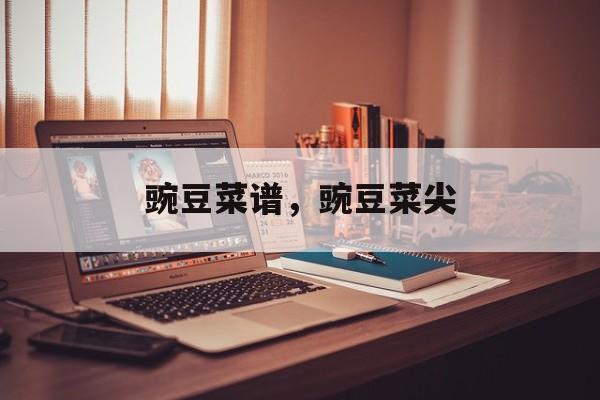 豌豆菜谱，豌豆菜尖-第1张图片-